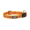 Collar Julius K9 - Circunferencia Cuello 27-42 Cm - Color Naranja (color&gray)