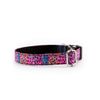 Collar Para Perros Funny Leopardo Rosa Pamppy 45 Cm