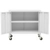 Armario De Almacenamiento | Mueble De Almacenamiento Acero Blanco 60x35x56 Cm Cfw739818