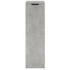 Zapatero | Mueble Zapato Moderno | Armario Zapatero Madera Contrachapada Gris Hormigón 30x35x100 Cm Cfw1167239