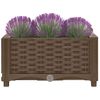 Jardinera Arriate | Macetero 40x40x23 Cm Polipropileno Cfw741932