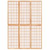 Biombo Divisor Plegable Con 3 Paneles | Separador De Ambientes Estilo Japonés 120x170 Cm Cfw745117