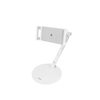 Soporte Escritorio Universal Base Estable Y Brazo Multiángulo Linq Hd3278 Blanco