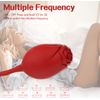 Vibrador De Control Remoto Inalámbrico De Huevo De Salto De Rosa De 10 Modos (rojo)