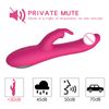 Vibrador Femenino De Conejo Telescópico De Doble Motor De 10 Velocidades (púrpura)