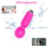 Mini Vibrador De Masaje De 20 Frecuencias Para Mujer (púrpura)