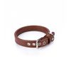 Collar Vegano Para Perros Cher Cuero Pamppy 35 Cm