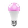 Pack De 5 Bombillas Led Smart Wifi E27 Rgb+cct - R9074-5pack - Woox