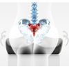 Cojín Ortopédico Antideslizante Para Coxis | Ergonomic Ortoprime
