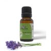 Aceite Esencial Lavanda Terapéutico Y Regenerador Piel | 15 Ml