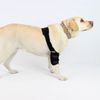 Codera Para Perro Con Bandas De Velcro | Por Tallas