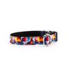 Collar Para Perros Funny Retro Colors  Pamppy 55 Cm