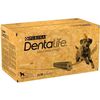 Multipack Maxi - Para Perros Grandes - 2 X 1272 G Dentalife