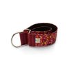 Collar Para Galgo Speedy Caramelos Pamppy 40 Cm