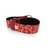 Collar Para Galgo Speedy Caramelos Pamppy 40 Cm