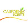California Car Scents - Ambientador De Coche Con Fragancia, Olor Y Esencias A Tropical Colada, Aroma A Piña (ambientador De Papel Con Forma De Palmera 1ud).