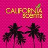 California Car Scents - Ambientador De Coche Con Fragancia, Olor Y Esencias A Ice, Aroma A Hielo, Fresco (ambientador De Papel Con Forma De Palmera 4uds).