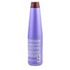 Placenta Life Blueberry Silver Acondicionador 350 Ml