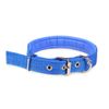 Collar Para Perros En Diferentes Colores (38 X 2 Cm) Mod. Phoenix - Talla S  | Azul