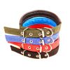 Collar Para Perros En Diferentes Colores (38 X 2 Cm) Mod. Phoenix - Talla S  | Azul