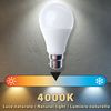 Bombilla Led Smd, Estándar A60, 11w / 1055lm, Base B22 (francia), 4000k