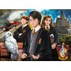 Puzzle Harry Potter Rompecabezas 1000 Piezas Estuche Clementoni 100% Original