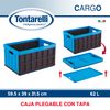 Caja Multiusos Tontarelli 62l Azul Y Negro