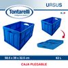 Caja Plegable Tontarelli 62l Azul