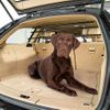 Seguridad De Coche Para Perros Para El Reposacabezas Negro Ferplast