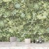 Papel De Pared Evergreen Succulent Verde Y Beige Noordwand