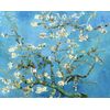 Legendarte - Cuadro Lienzo, Impresión Digital - Almendro En Flor - Vincent Van Gogh - Decoración Pared Cm. 40x50
