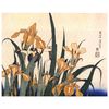 Legendarte - Cuadro Lienzo, Impresión Digital - Iris Y Saltamontes - Katsushika Hokusai - Decoración Pared Cm. 80x100