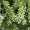 Árbol De Navidad Artificial De Abeto Verde De 180 Cm Con 645 Ramas Rebecca Mobili