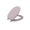 Tablero Asiento Wc Universal Color Morado Pastel Opaco