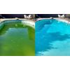 Choc Rapid 500 Gramos Aguas Verdes Piscina