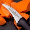 3 Claveles Evo - Cuchillo Mondador 6 Cm Acero Inoxidable Mango Polipropileno