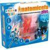 Anatomicefa Plus