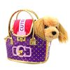 Colorbaby - Valerie Perrita Peluche Con Bolso Transportín De Lujo, +2 Años