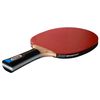 Pala Ping Pong Enebe Select Team 700