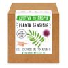 Kit Siembra Planta Sensible Garden Pocket