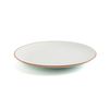 Plato Llano Porcelana Terra 24cm