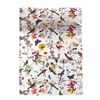 Colcha Happyfriday Hf Birds Of Paradise Multicolor 240 X 260 Cm