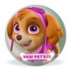 Pelota 10cm De Paw Patrol