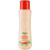 Valquer Leche Hidratante Bronceadora Zanahorias 500 Ml