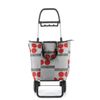 Carro Rolser Mini Bag Plus Logos 2 Ruedas Plegable - Rojo