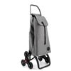 Carro Rolser I-max Zd 6 Ruedas Sube Escaleras - Gris