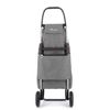 Carro Rolser I-max Zd 2 Ruedas Plegable - Gris