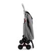 Carro Rolser I-max Zd 6 Ruedas Sube Escaleras Plegable - Gris