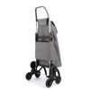 Carro Rolser I-max Zd 6 Ruedas Sube Escaleras Plegable - Gris