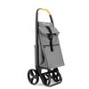 Carro Rolser Clec Termo Zd 8 Plus Lemon 4 Ruedas Grandes - Gris